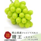 ショッピングふるさと納税 シャインマスカット ふるさと納税 瀬戸内市 シャインマスカット晴王 3〜5房(10月上旬〜11月下旬発送分)岡山県産[No.5735-1232]