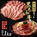 ふるさと納税 大崎町 【極上焼肉セット】黒毛和牛(霜降・赤身)&牛タン