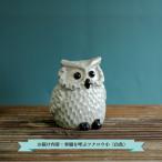幸福を呼ぶフクロウ 白小