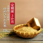 ふるさと納税 三笠市 <令和7年度産>玄米『定期便3回』北海道産ゆめぴりか10kg《10月から発送予定》【3900502】