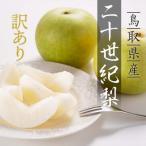 ふるさと納税 八頭町 【訳あり】二十世紀梨 4kg【2025年発送】