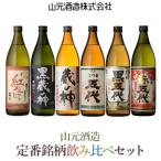 BS-908 5合瓶6本飲み比べ 各900ml