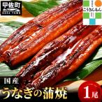 化粧箱入り うなぎ 蒲焼き1尾 タレ 山椒付き
