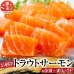 お刺身トラウトサーモン約300~400g×2P