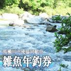 馬瀬川下流 雑魚年釣券 1枚