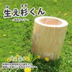 秋田杉の丸太プランター 生え杉くん はえすぎくん