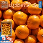 ふるさと納税 香南市 家庭用 山北みかん5kg露地(S〜M) 高橋農園 th-0015
