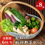 越知産市の季節の野菜セット 年6回発送