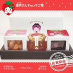ひめかちゃんのキューブセット H017120
