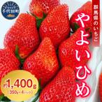 ショッピングふるさと納税 いちご ふるさと納税 千代田町 《先行受付》※3月発送※ いちご「 やよいひめ 」約350g×4パック ch002-011-3