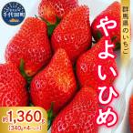 いちご やよいひめ 約340g×4