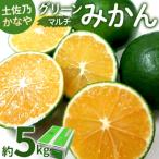 グリーンみかん 5kg