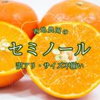 ふるさと納税 紀宝町 2級果 サイズ不揃い 訳あり 西地農園のセミノール4.5kg【3月中旬〜順次発送】【mnd006B】