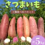 106005 さつまいも食べ比べセット5kg