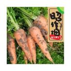 fu.... налог . половина выгода блок земля имеется морковь 2kg 106006