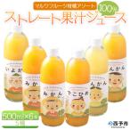 <マルワフルーツ柑橘アソート6本セット手提げ箱>