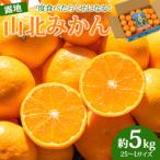 ふるさと納税 香南市 【令和7年度発送分】みかん5kg 山北みかん 温州みかん5kg 小玉 5kg ku-0043