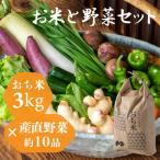 お米と野菜セット 直野菜 白米