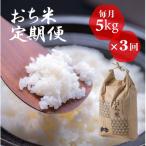 おち米 定期便 5kg
