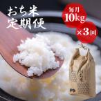 おち米 定期便 10kg