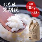 おち米 定期便 10kg