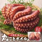 宗像産地ダコ丸ごとボイル _HA0997