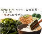鳴門わかめ食べ比べ二種 すだち 大野海苔