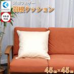 羽根 クッション E1307