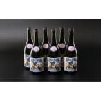 本格米焼酎 25度 龍馬の海援隊720ml×6本