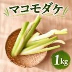 希少 マコモダケ