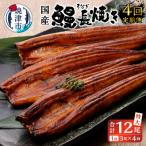 鰻 長焼き b100-058