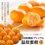 岸田果樹園プレミアム 温故蜜柑 約5kg_1275R