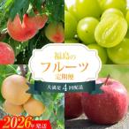 ふるさと納税 福島市 福島のフルーツ4品定期便【2026年発送　先行受付】No.2261