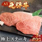 飛騨牛サーロインステーキ 250g×2