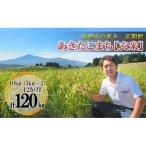 10kg×12ヶ月