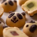 恋するパンダチョコ 10個入3セット