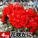 花咲がに姿8~10尾 計4kg