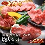 飛騨牛本日の希少部位 ランプ焼肉セット 各450g