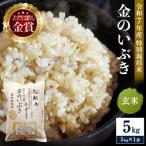 玄米 特別栽培米 金のいぶき 5kg