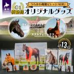 優駿ビレッジAERU G1馬オリジナルグッズ 計13個
