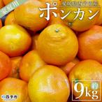 ポンカン 9kg