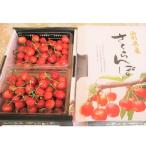 fu.... налог сверху гора город вишня ( Sato .)800g 0025-2603