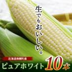 fu.... налог юг тент блок . мир 8 год рассылка Hokkaido производство кукуруза чисто-белый 10шт.@ утро .. самый .