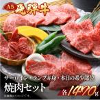 飛騨牛焼肉セット 各490g