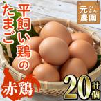 元さん農園 平飼い赤鶏のたまご 計20個