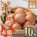平飼い赤鶏のたまご 計10個