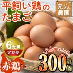 平飼い赤鶏のたまご 総量300個 S-Mサイズ50個×6回
