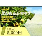ふるさと納税 越知町 文旦シロップ(300ml)