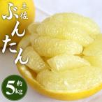 文旦 5kg