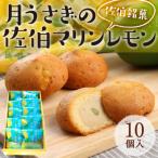 月うさぎの佐伯マリンレモン 計10個